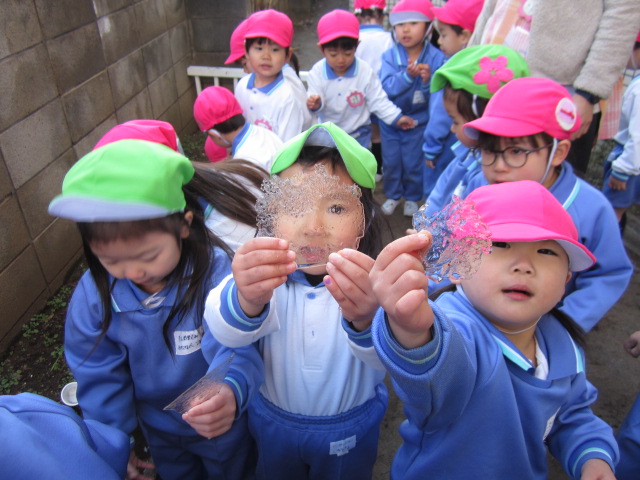 1月15日（月）～19日（金） 画像