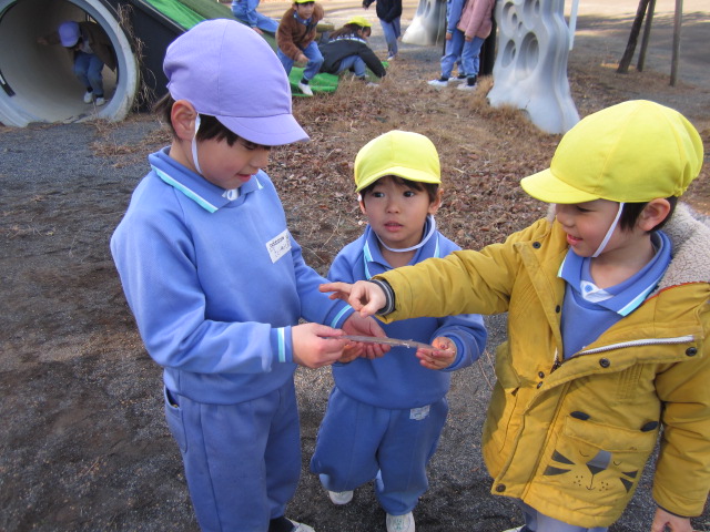 1月15日（月）～19日（金） 画像