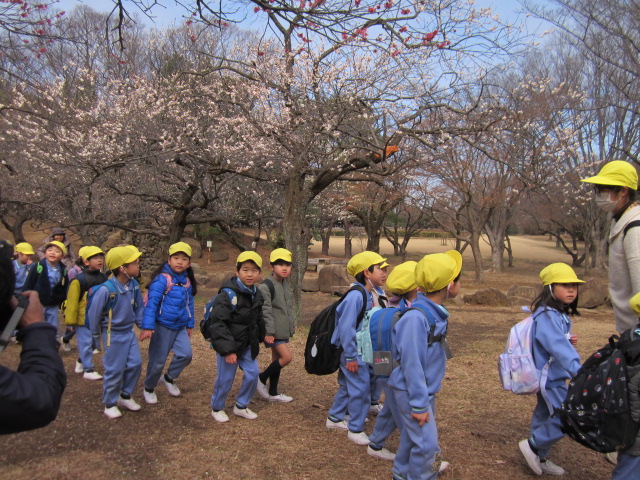 2月 26日（月）～3月  1日（金） 画像