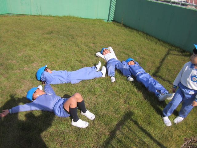 １１月～１２月 画像