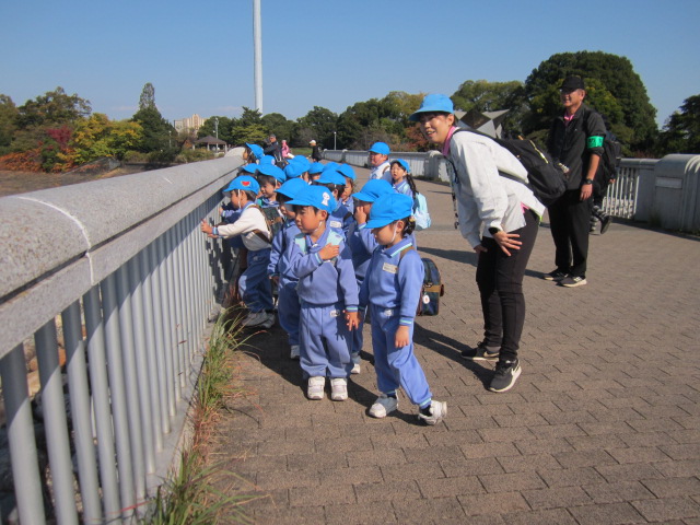 １１月～１２月 画像