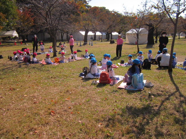 １１月～１２月 画像