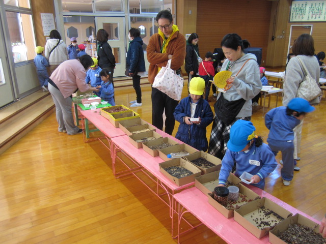 １１月～１２月 画像