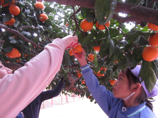 １１月～１２月 画像